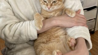 ももちゃんのかわいい体操タイム🐾✨