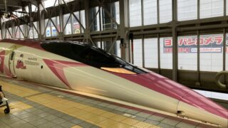 🎀ピンクの新幹線⁉️まさかのハローキティ号に娘が乗車！