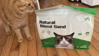 🐾猫砂ジプシー卒業なるか⁉キャッサバ製猫砂「OFT ナチュラルブレンドサンド」使ってみたレビュー✨