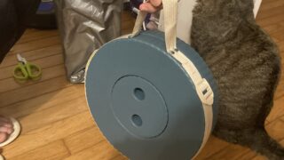 大阪・関西万博の夏攻略🧊|冷感グッズ&ポータブルスツールで快適に(持ち込みルール・マイボトル・WBGT)