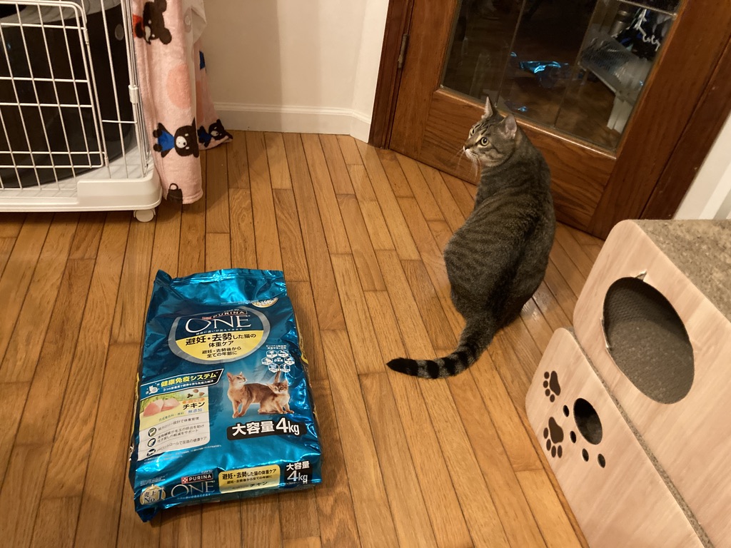 【多頭飼いの保存術】4kgキャットフードを真空パックで鮮度キープ｜ピュリナワン体重ケアレビュー