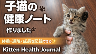 🐾 愛猫の健康を記録できる「猫の健康管理ノート」を作りました