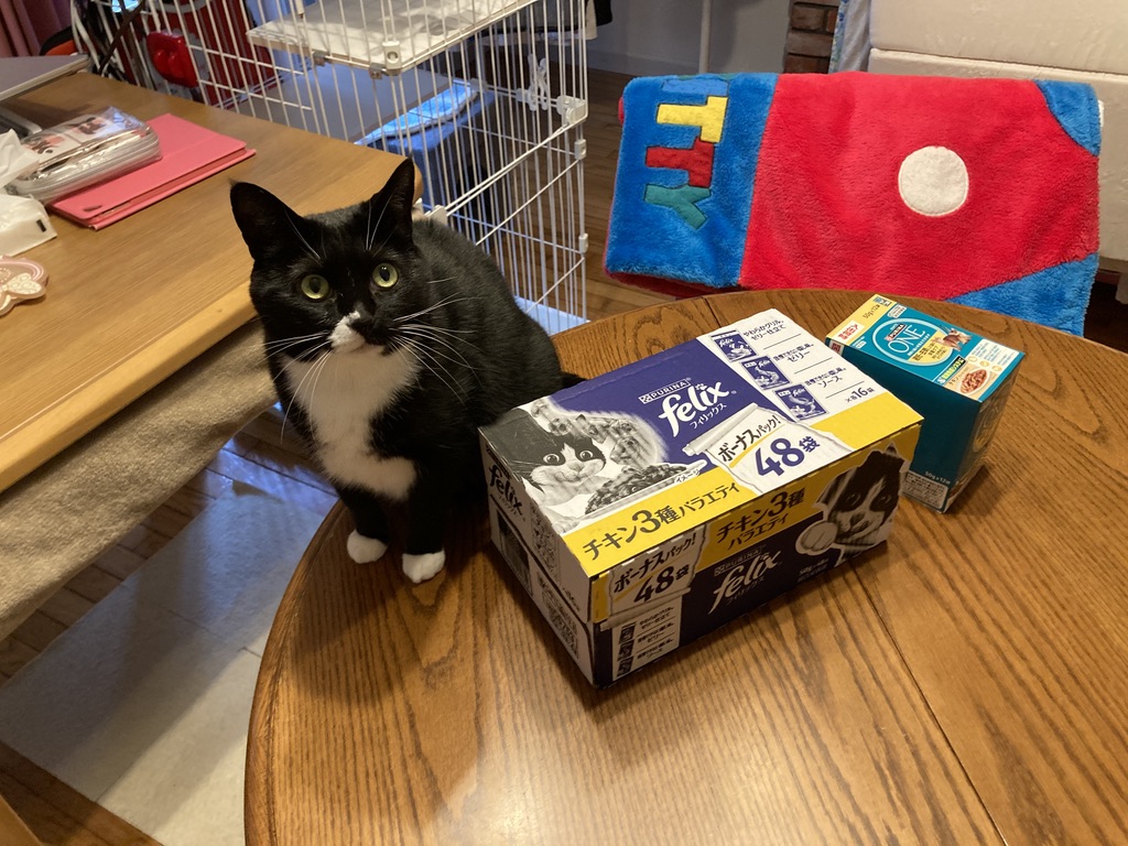 🐱【ピュリナワン ウェット＆フィリックス】猫の反応がすごい！食いつき期待レビュー💕