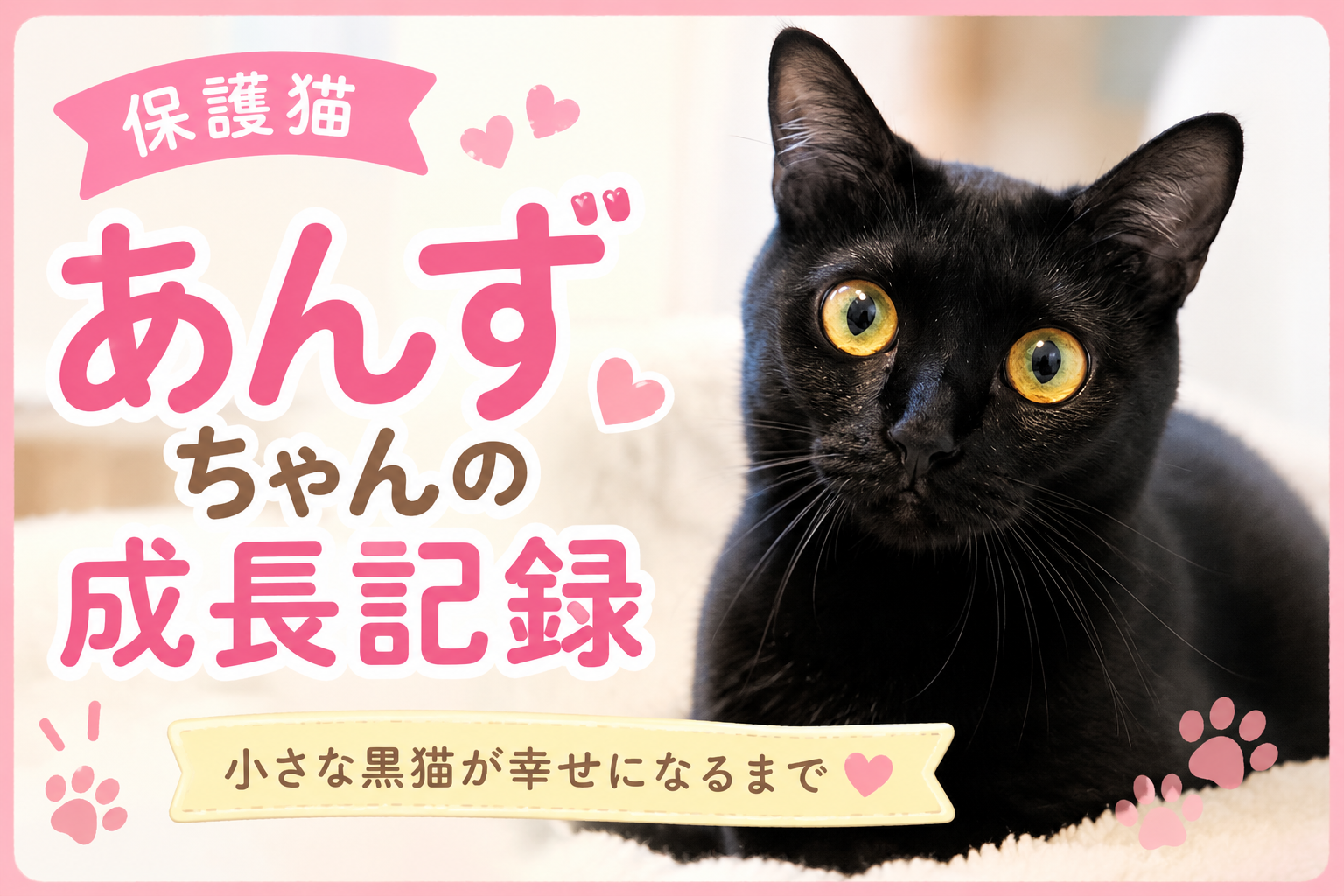 🐈‍⬛ 保護猫あんずちゃんの2階暮らし🐾 専用トイレと猫砂を用意しました✨